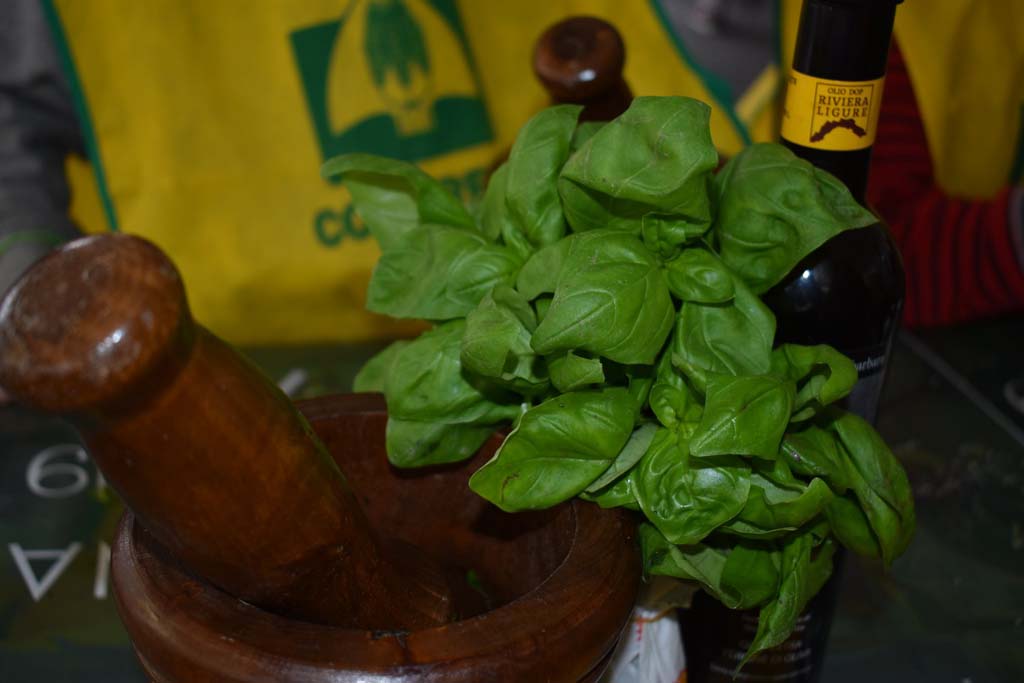 all-aromatica-17